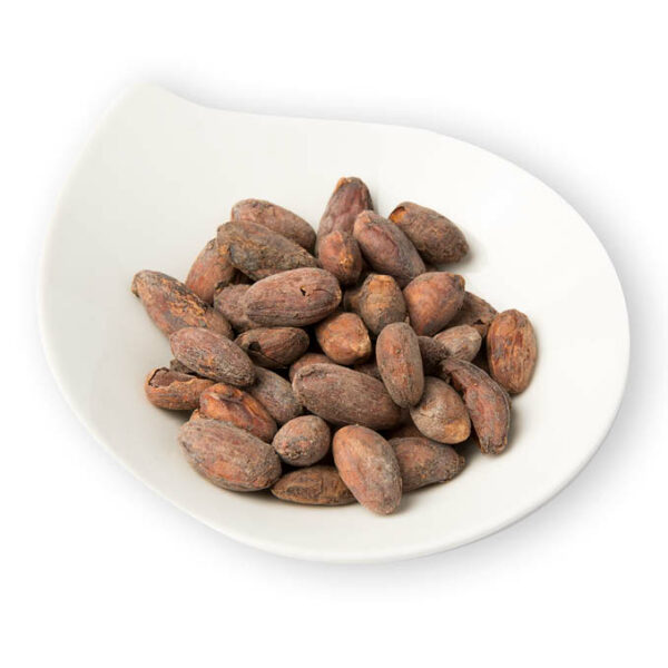 Cacao beans Ecuador